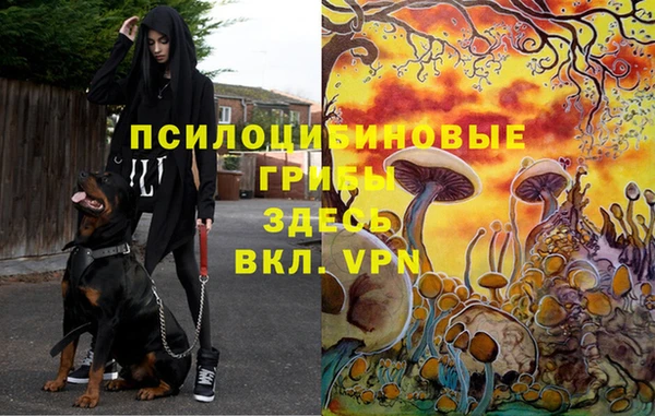 не бодяженный Гусь-Хрустальный
