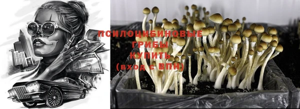 первитин Дмитров