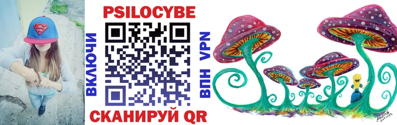 Купить закладки  Нюрба  Псилоцибиновые грибы прущие грибы 